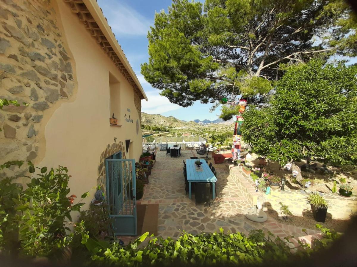 Casa Pura Vida Bed & Breakfast Relleu Exterior photo
