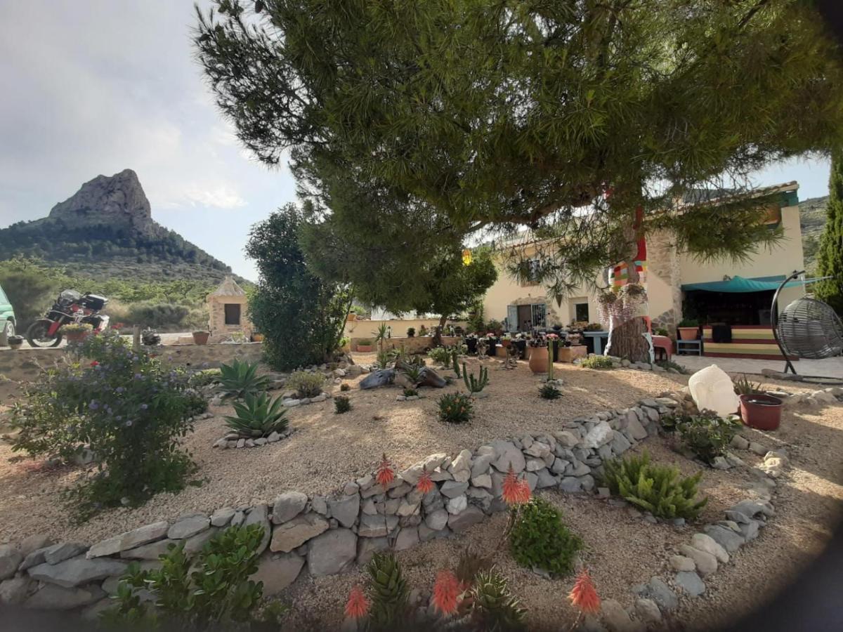 Casa Pura Vida Bed & Breakfast Relleu Exterior photo